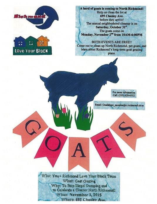 Goat Grazing Flyer